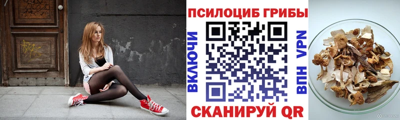 Псилоцибиновые грибы мицелий Александровск